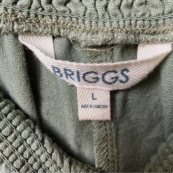Briggs New York Sage Green Linen Pants size Large - Picture 2 of 9